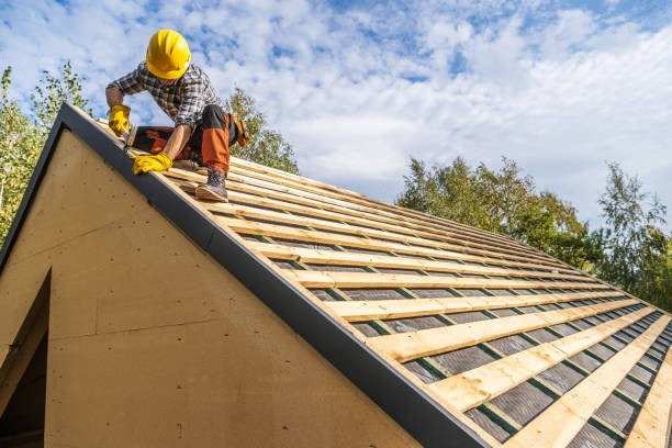 Best Roof Leak Repair  in Lake Of The Woods, IL